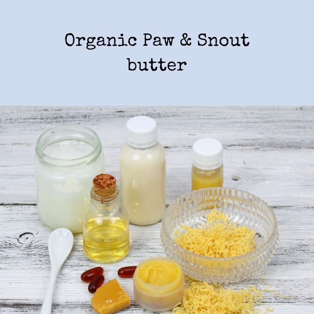 Best Paw and Snout Butter for Dogs