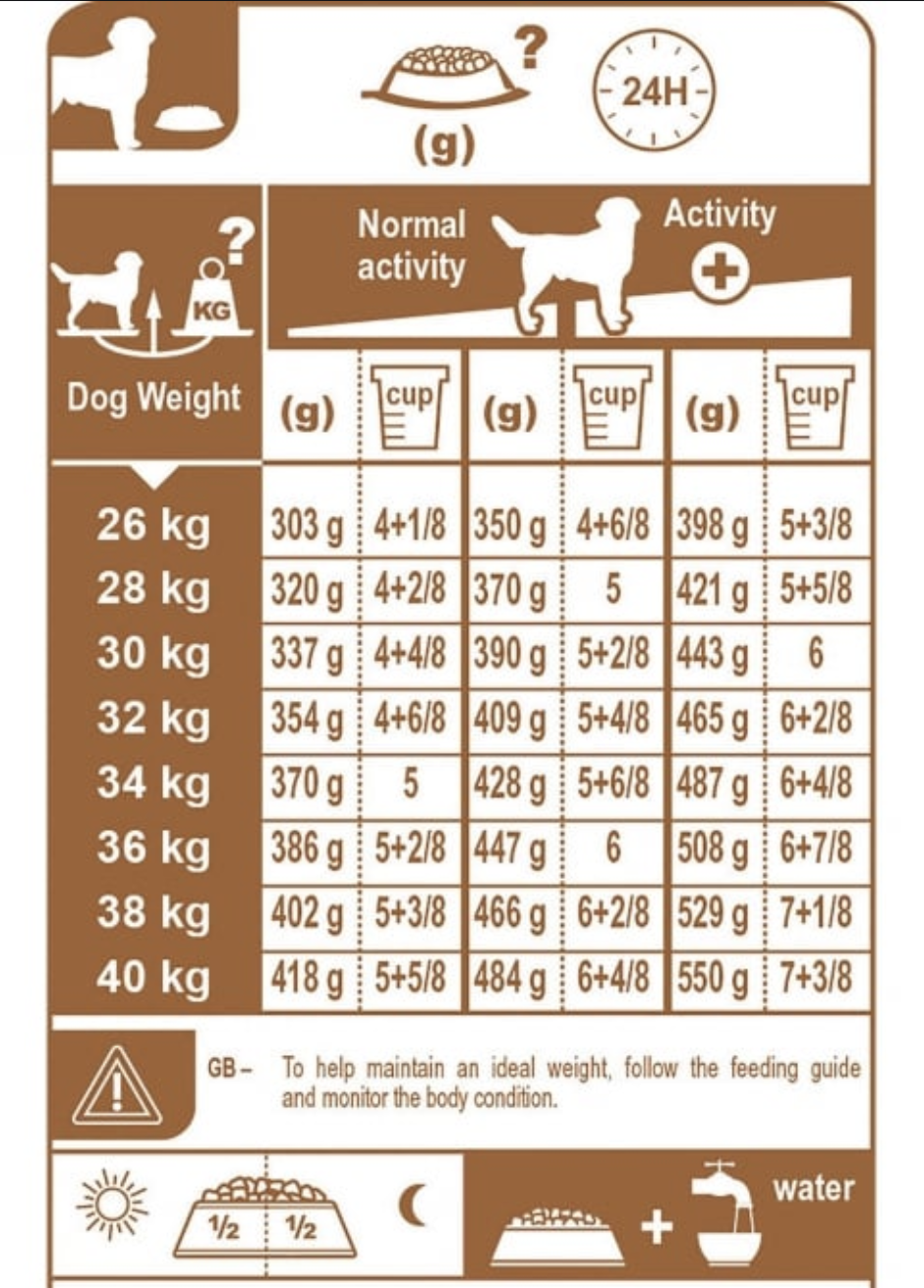 How much food should you feed a outlet dog