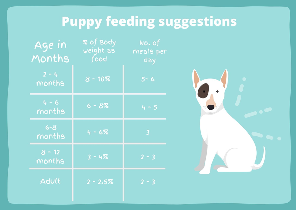 How many grams of food should a puppy eat best sale