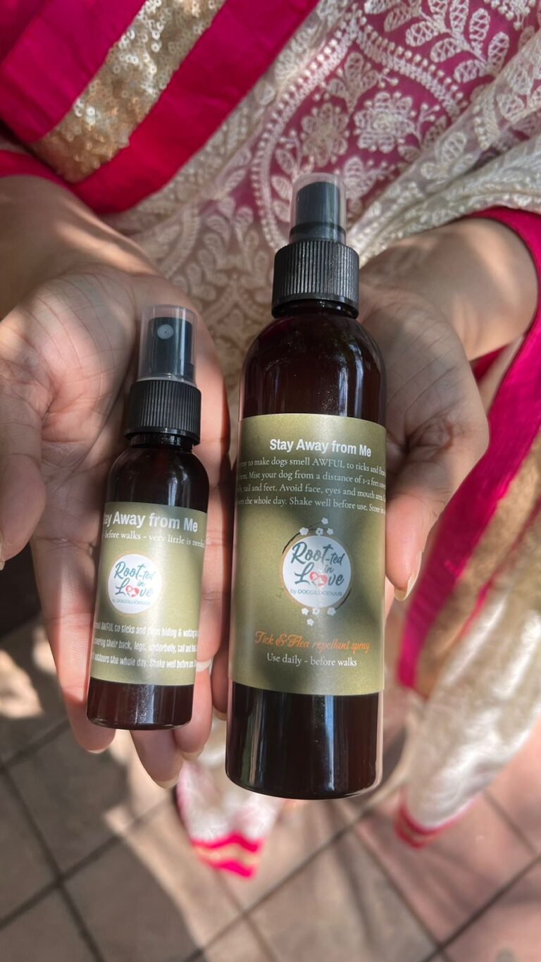 Best Healing Oil for Dogs Doggiliciouus