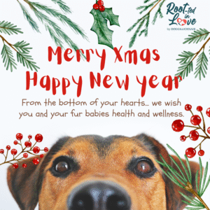 X-Mas & New year Festive Box